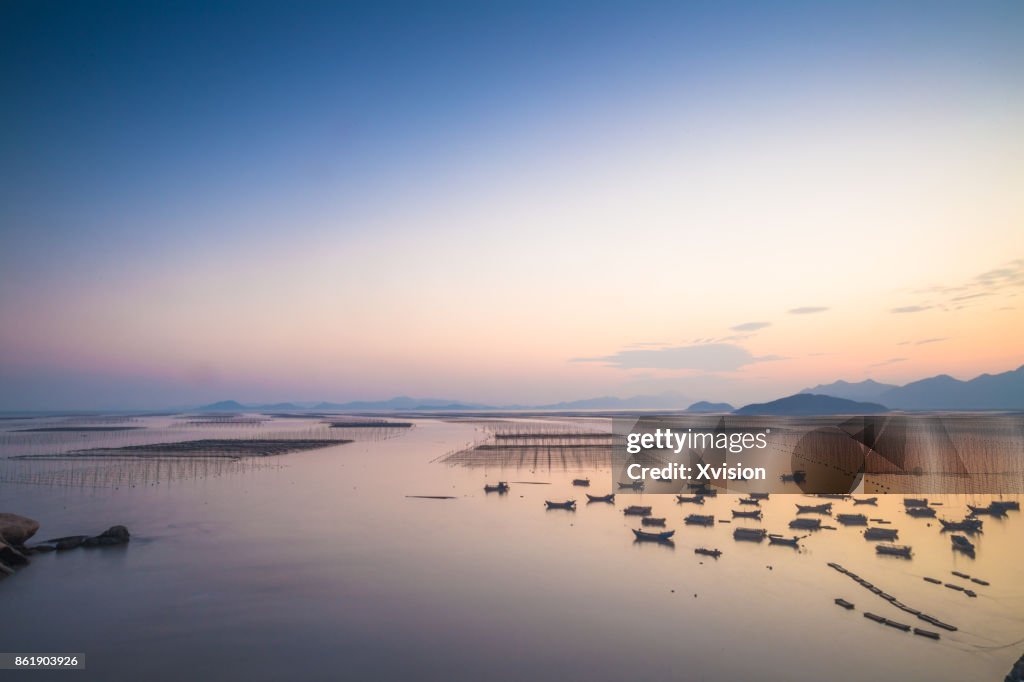 Sunset in the sea with lots of boats in Xiapu
