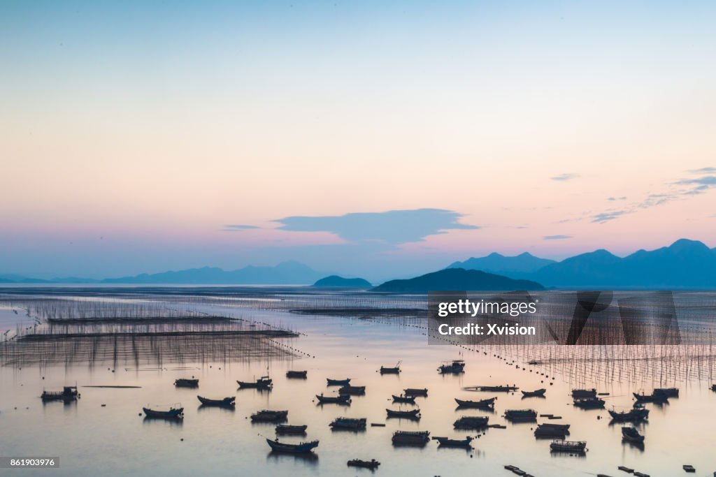 Sunset in the sea with lots of boats in Xiapu
