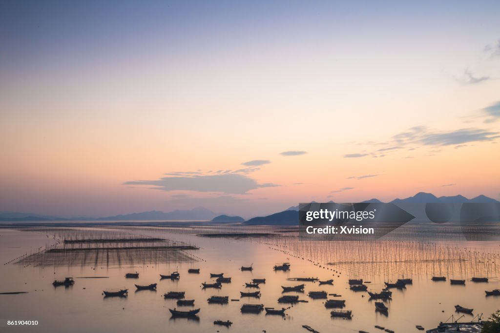 Sunset in the sea with lots of boats in Xiapu