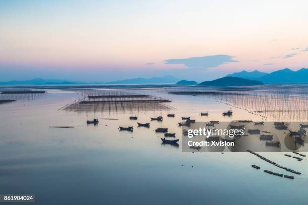 sunset in the sea with lots of boats in xiapu - porphyra stock pictures, royalty-free photos & images