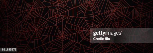 stockillustraties, clipart, cartoons en iconen met oranje spider webachtergrond - spinnenweb