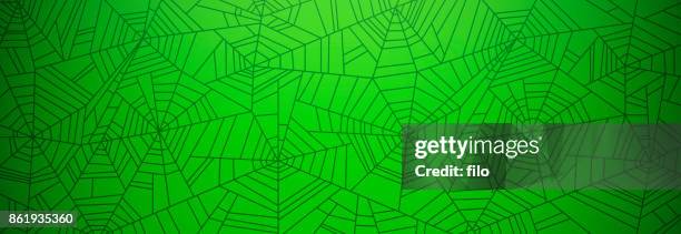 green spider web background - arachnophobia stock illustrations