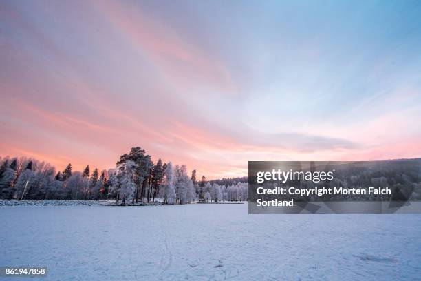 evening at sognsvannet, oslo, norway - day for night 2017 fotografías e imágenes de stock