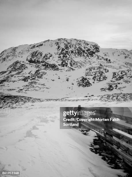 wooden fence - hemsedal stock pictures, royalty-free photos & images