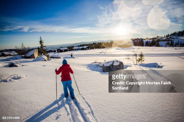 woman cross-country skiing - buskerud stock pictures, royalty-free photos & images