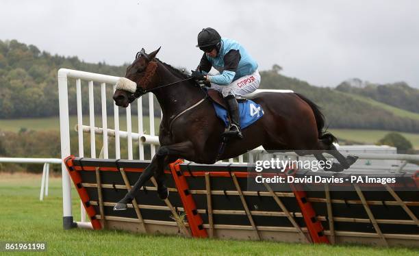 Poetic Lady ridden by Noel Fehily in the Welsh Border Area Point-To-Point Awards 2017 Mares' Handicap Hurdle at Ludlow Racecourse.