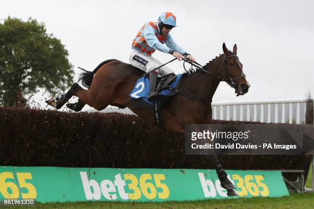 Mad Jack Mytton ridden by Aidan Coleman in the Vera Davies Memorial Chase at Ludlow Racecourse.