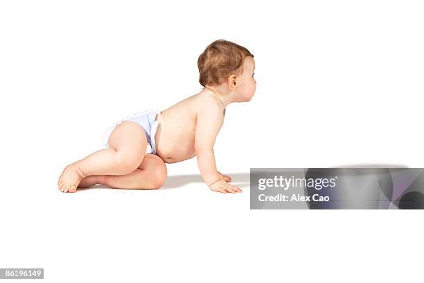 crawling baby - diaper boy fotografías e imágenes de stock