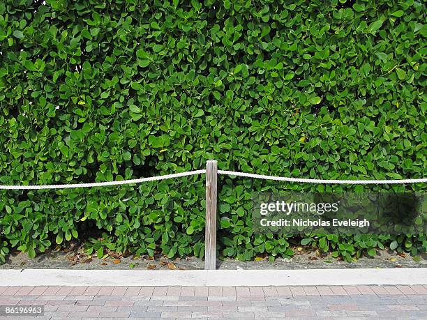 Sidewalk Ropes Eveleigh Street Photos and Premium High Res Pictures - Getty Images