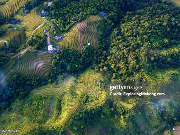 vietnam landscape - southeast stock pictures, royalty-free photos & images