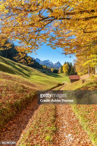 bavarian autumn landscape - waxenstein stockfoto's en -beelden