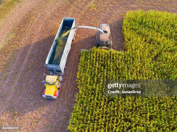 Corn Farm Rig 80 Semi Truck Corn Fields Stock Photos, High-Res Pictures, and Images ...