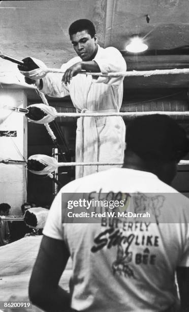 32 Float Like A Butterfly Sting Like A Bee Photos and Premium High Res Pictures - Getty Images 32 Float Like A Butterfly Sting Like A Bee Photos and Premium High Res Pictures - Getty Images