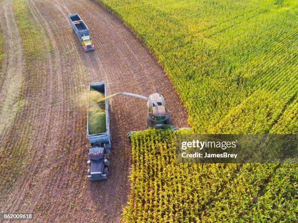 semi-lkw und bauernhof-maschine maisernte im herbst - landwirtschaftsgeräte ansicht von oben stock-fotos und bilder