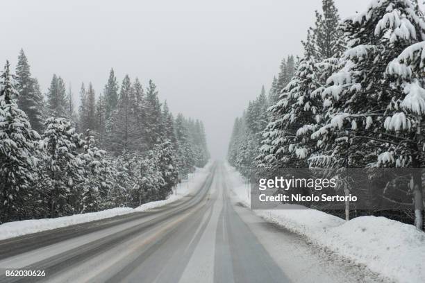 snow covered road leading into the mountain - truckee fotografías e imágenes de stock