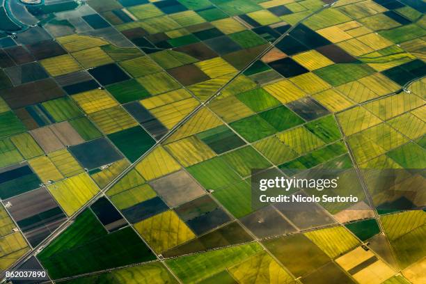 aerial view of green fields - plantación fotografías e imágenes de stock