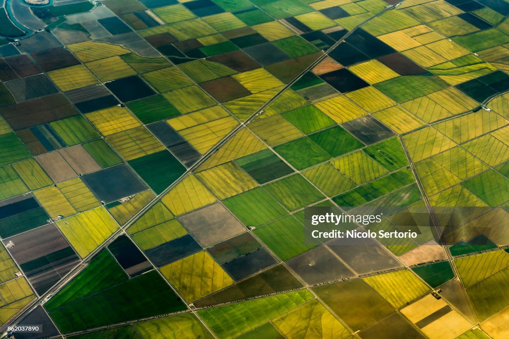 Aerial view of green fields