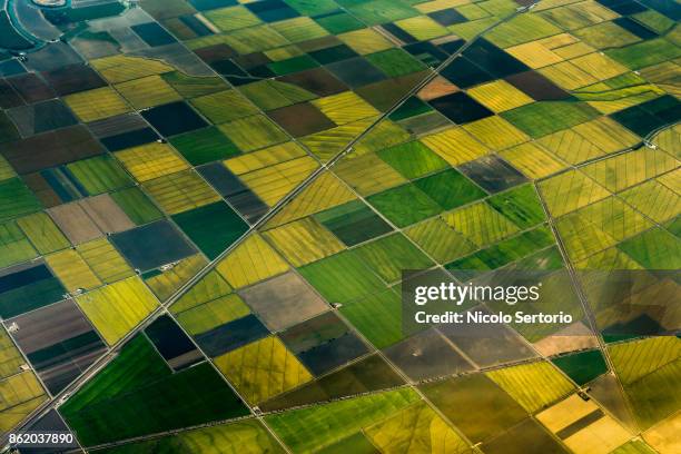 aerial view of green fields - field aerial imagens e fotografias de stock