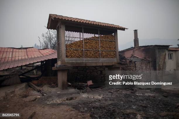 Corn store stands next to burnt houses in the village of Vila Nova, near Vouzela on October 16, 2017 in Viseu region, Portugal. At least 30 people...