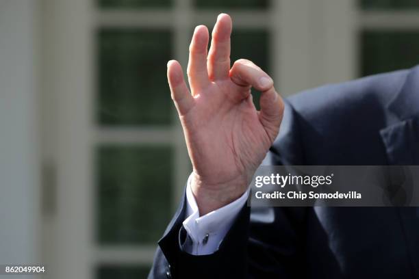 President Donald Trump gestures while speaking to reporters in the Rose Garden following a lunch meetering with Senate Majority Leader Mitch...