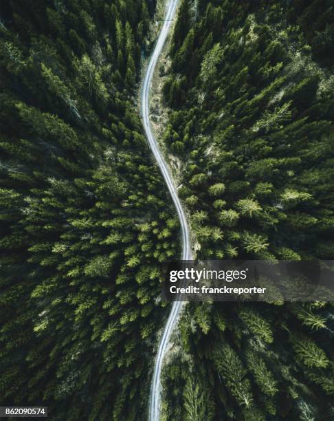 summer forest aerial view in switzerland - curve road stock pictures, royalty-free photos & images