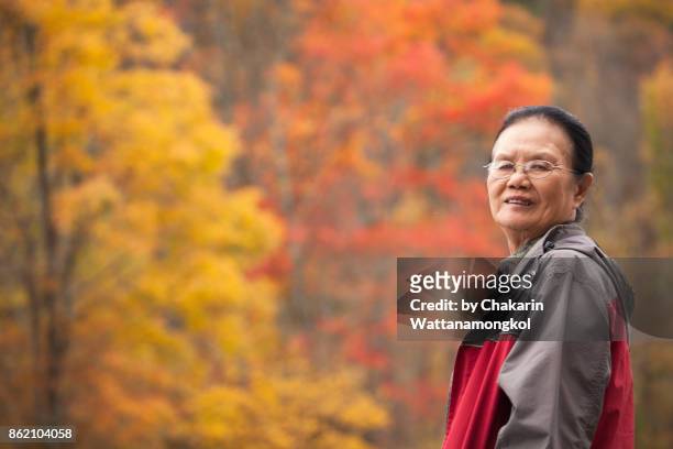 an old woman on colorful fall foliage background. - killbear provincial park stockfoto's en -beelden