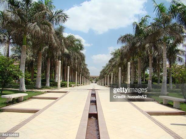 road in azhar park - hussein52 stock pictures, royalty-free photos & images