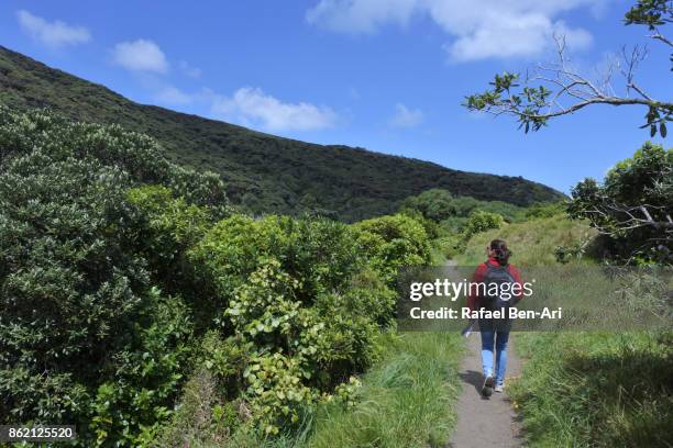 young woman hikes solo in new zealand - auckland light path stock pictures, royalty-free photos & images