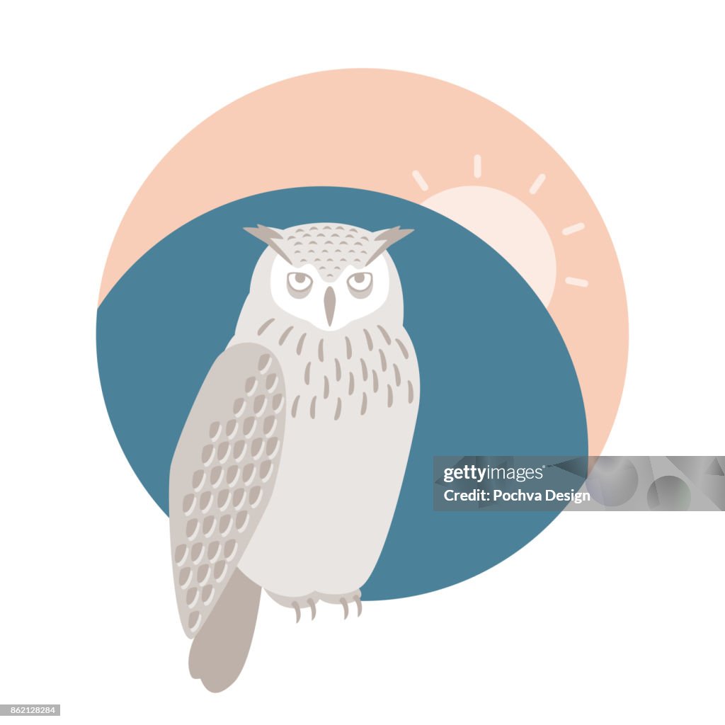 Sleep Less Owl Sleepless Owl Vector Illustration High-Res Vector Graphic - Getty Images