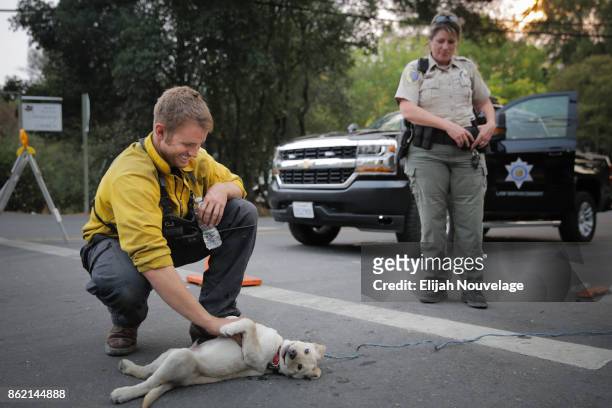 Santa Maria firefighter Cody Joy plays around with Lucky, a 13-week old yellow Labrador puppy as Fish and Game Warden Jessica Jacobsen watches on...