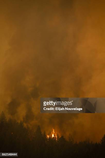 Wildfire crests a hill on October 16, 2017 in Kenwood, California. At least 40 people are confirmed dead, dozens are still missing, and at least...