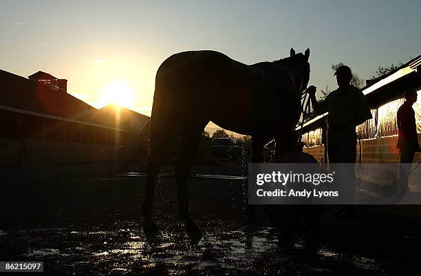 Musket Man held by trainer Derek Ryan is washed by Mario Rodriquez in the barn area during the morning training for the 135th Kentucky Derby at...