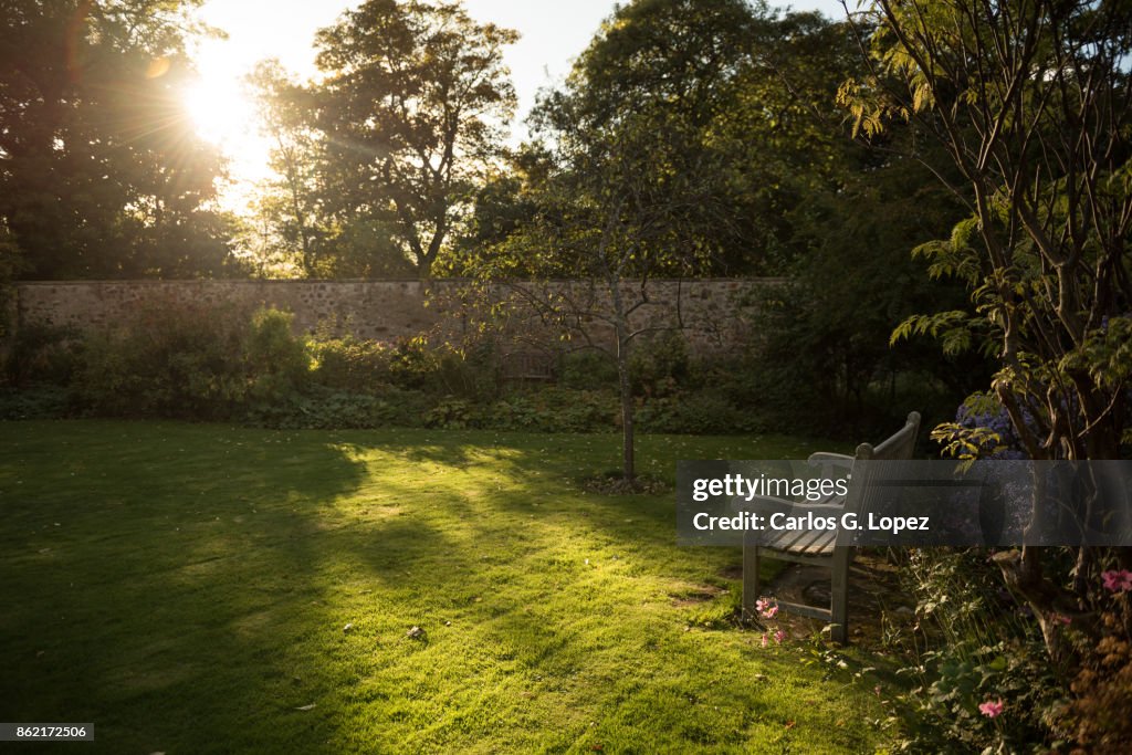 View of an empty wooden bench in the sun near flowers