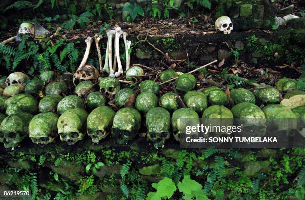 By Presi Mandari Skulls are placed at a grave of a banyan tree at Trunyan village in Bangli on the resort island of Bali on March 18, 2009. Bali's...