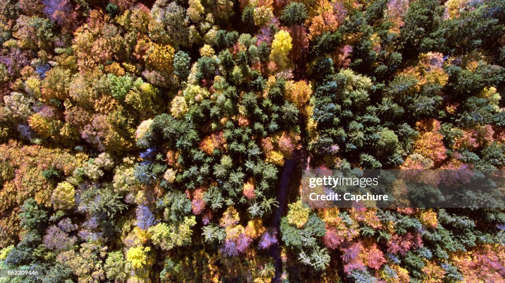 Alpine Autumn and fall views of Switzerland and the french alps