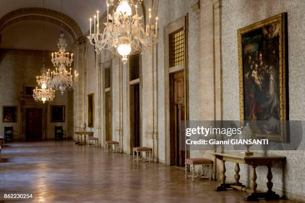 113 Gallery Of Palazzo Farnese Stock Photos, High-Res Pictures, and ...