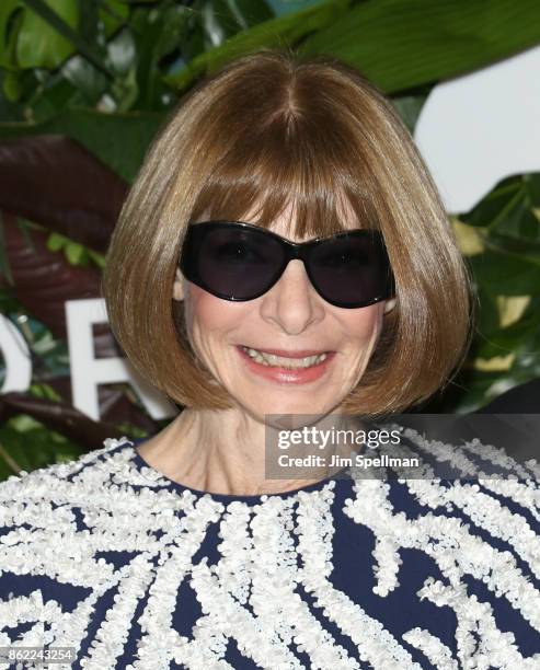 Anna Wintour attends the 11th Annual God's Love We Deliver Golden Heart Awards at Spring Studios on October 16, 2017 in New York City.