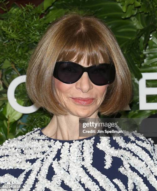 Anna Wintour attends the 11th Annual God's Love We Deliver Golden Heart Awards at Spring Studios on October 16, 2017 in New York City.