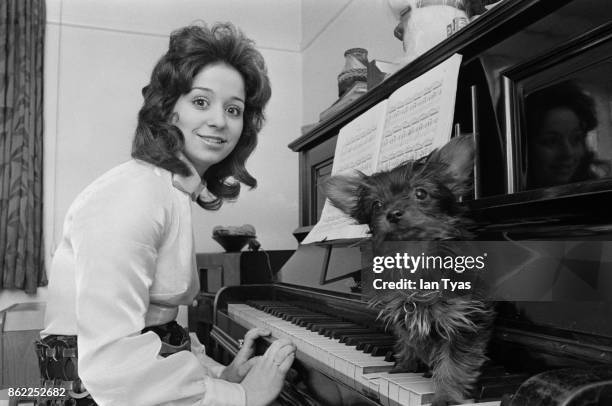 English singer Tina Charles at home in Essex with her new miniature Yorkshire terrier Bo-Bo, May 1971.