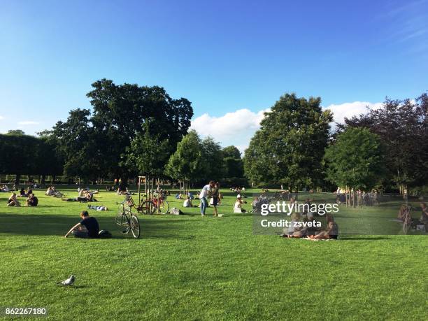 urban park scene - summer picnic stockfoto's en -beelden