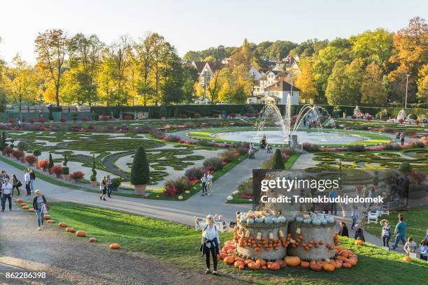 ludwigsburg - ludwigsburgo stock pictures, royalty-free photos & images