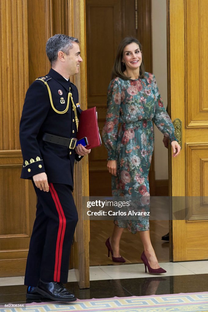 Queen Letizia Of Spain Attends Audicences At Zarzuela Palace