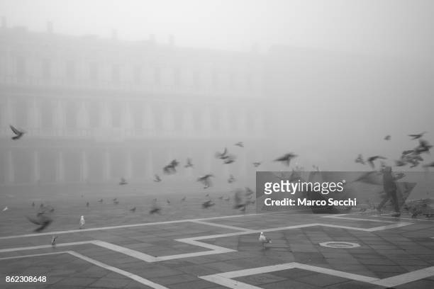 Grain seller is followed by pigeons in front of a bride and groom in Saint Mark's Square under heavy fog on October 17, 2017 in Venice, Italy. Venice...