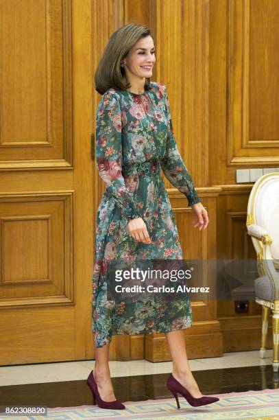 Queen Letizia of Spain attends several audiences at the Zarzuela Palace on October 17, 2017 in Madrid, Spain.