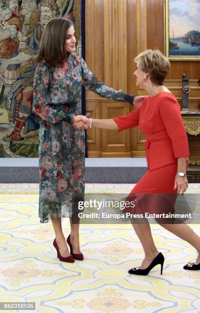 Queen Letizia of Spain attends audiences at Zarzuela Palace on October 17, 2017 in Madrid, Spain.