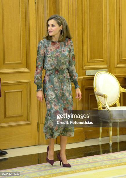 Queen Letizia of Spain attends Audiences at Zarzuela Palace on October 17, 2017 in Madrid, Spain.
