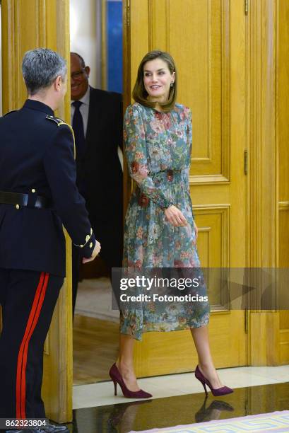 Queen Letizia of Spain attends Audiences at Zarzuela Palace on October 17, 2017 in Madrid, Spain.