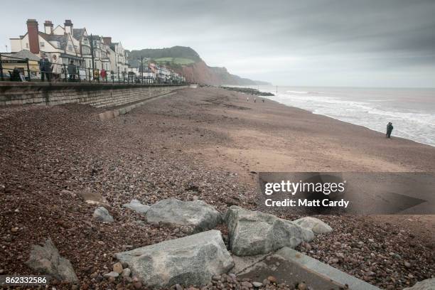 People walk besides Jellyfish that have been washed up on Sidmouth beach by yesterday's ex-hurricane Ophelia in Sidmouth on October 17, 2017 in...