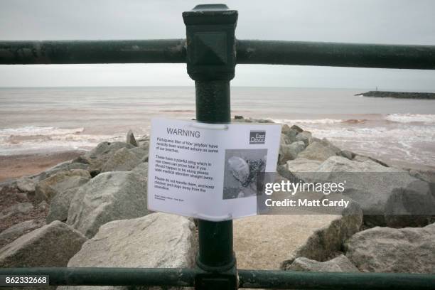 Sign warns of Jellyfish that have been washed up on Sidmouth beach by yesterday's ex-hurricane Ophelia in Sidmouth on October 17, 2017 in Devon,...