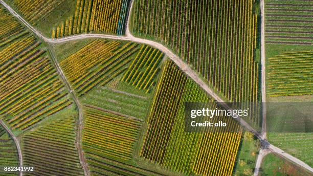 luchtfoto van wijngaarden in de rheingau - rheingau stockfoto's en -beelden